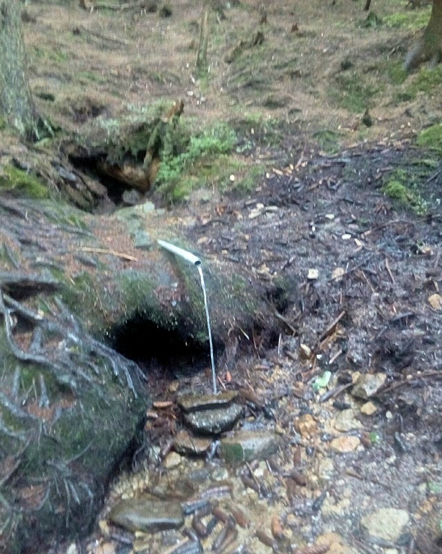 studánka V Jasení (11524)