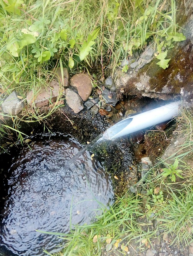 studánka Vojtěchov (11527)