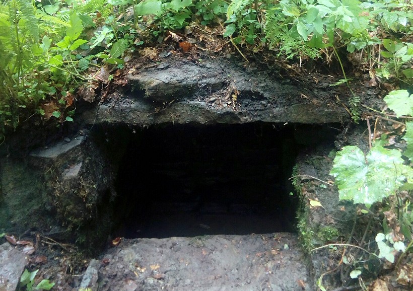 studánka V Tatínkách (11528)