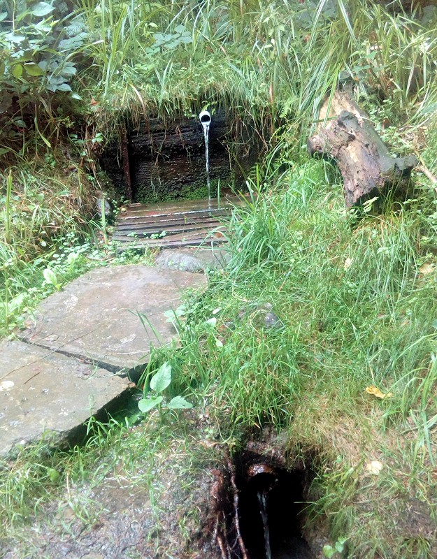 studánka Radvanov (11529)