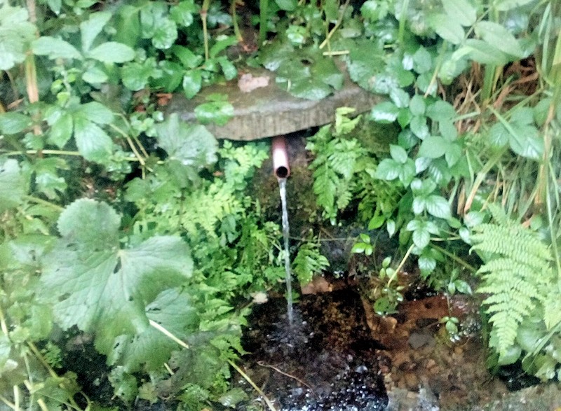 studánka V Milíkově (11531)
