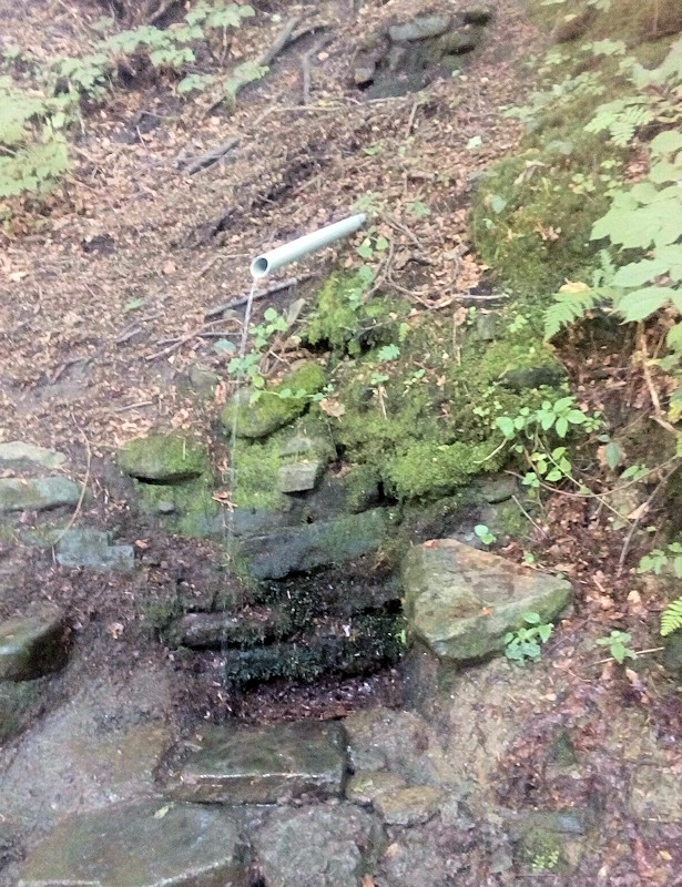 studánka U Sztoczka (11532)
