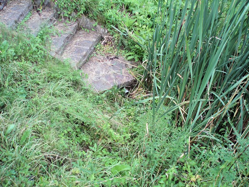 studánka Pod Hájkem (11537)