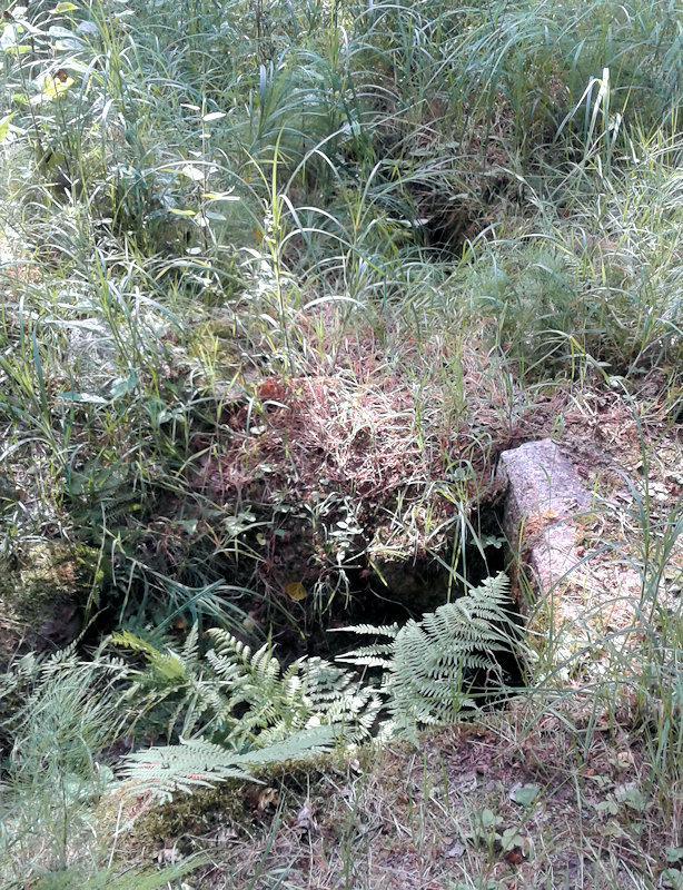 studánka Pod Vráží (11553)