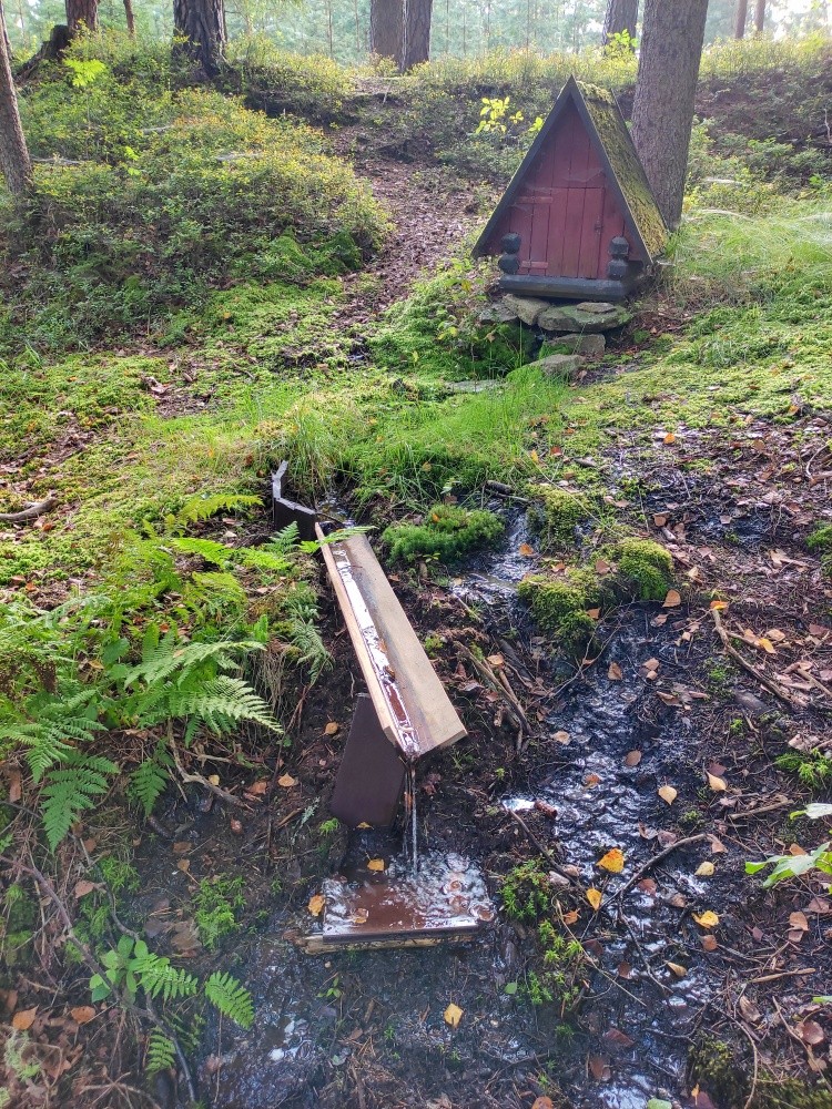 studánka bez jména (11555)