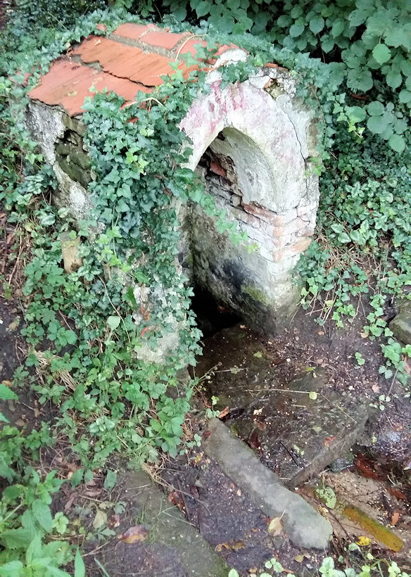 studánka bez jména (11558)