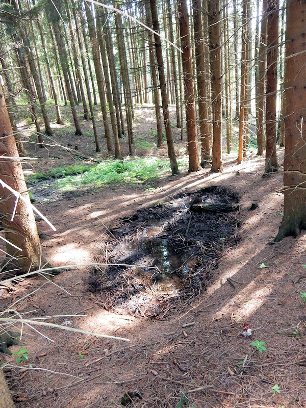 pramen Pod Jarošovem (11566)