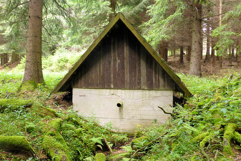 studánka bez jména (11567)