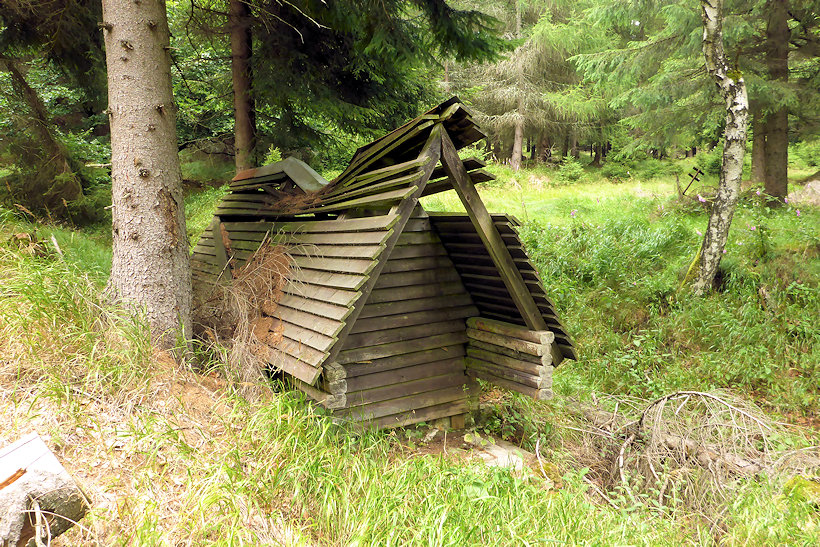 studánka bez jména (11568)