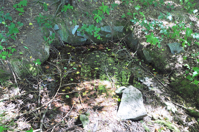 studánka Zapomenutá (11571)