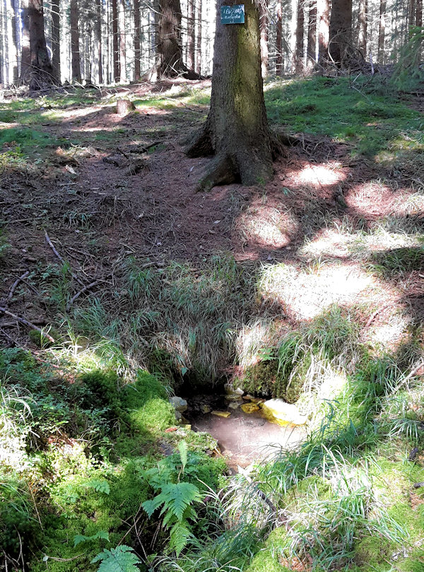 Ledová studánka (11574)