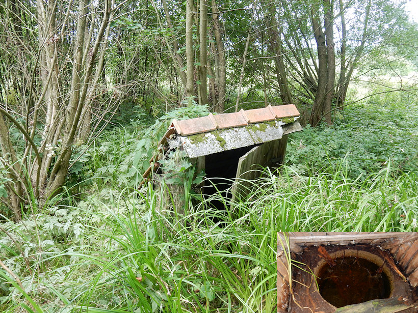studánka Sázavský potok (11579)