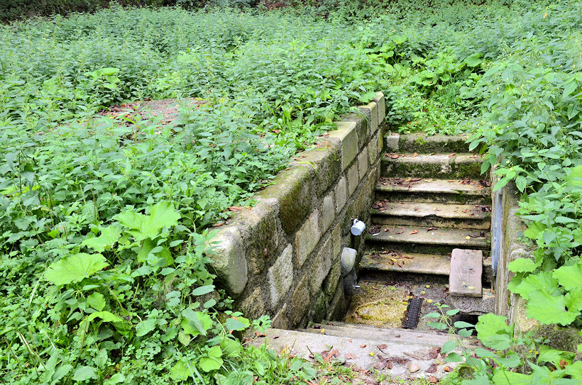 studánka Mlýnská kyselka (11582)