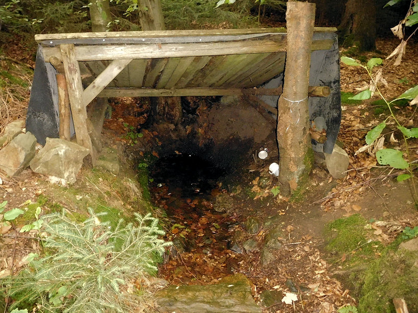 studánka Pod Spáleným vrchem (11593)