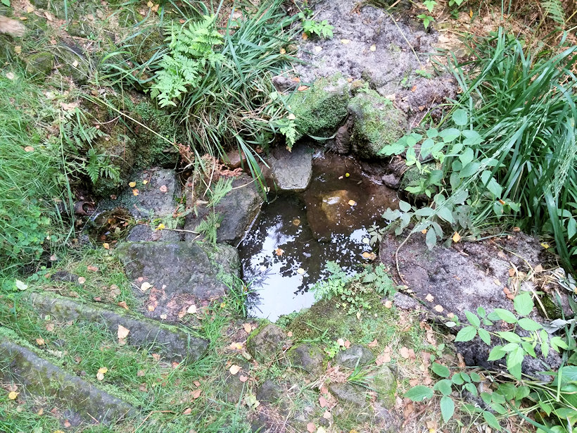 Trpasličí studánka (11596)
