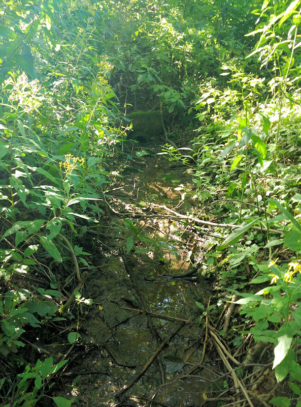 studánka V Pustinách 1 (11601)