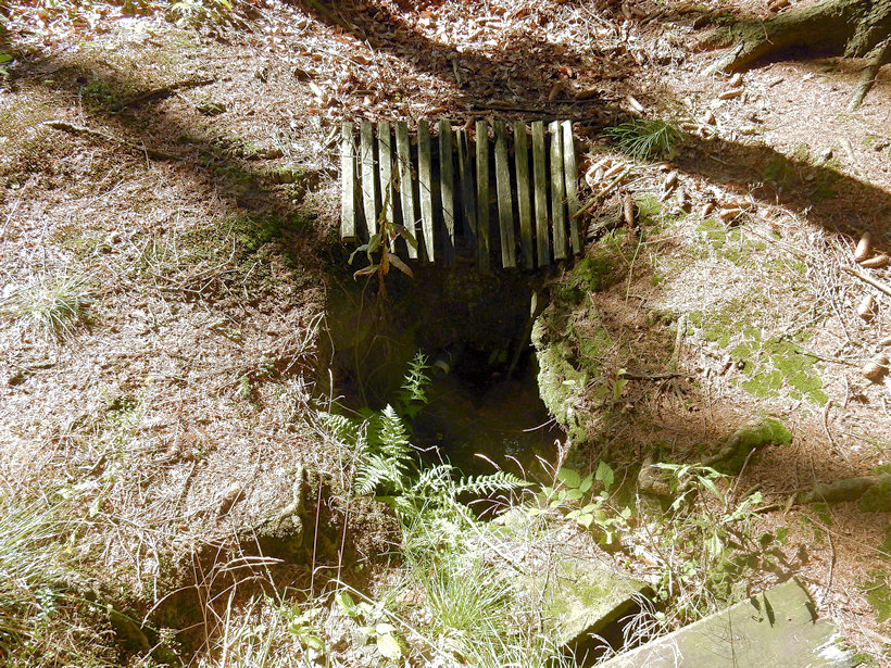 studánka Na Hubené straně (11602)