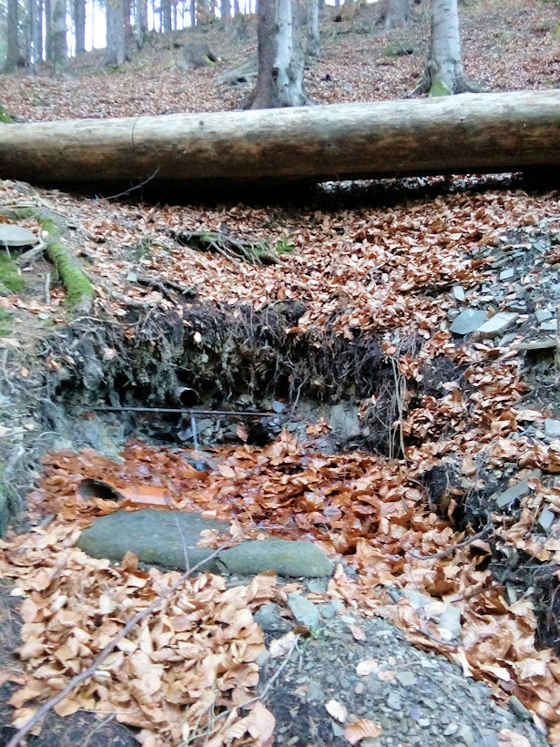 studánka Karlův pramen (11606)