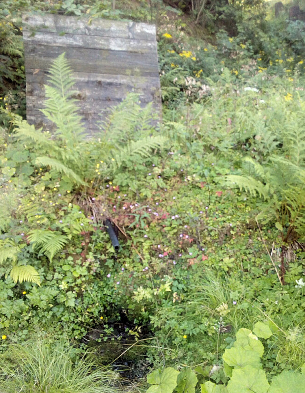 Studánka a pramen Latkula (11612)