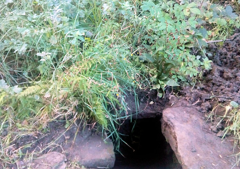Tadkova studánka (11616)