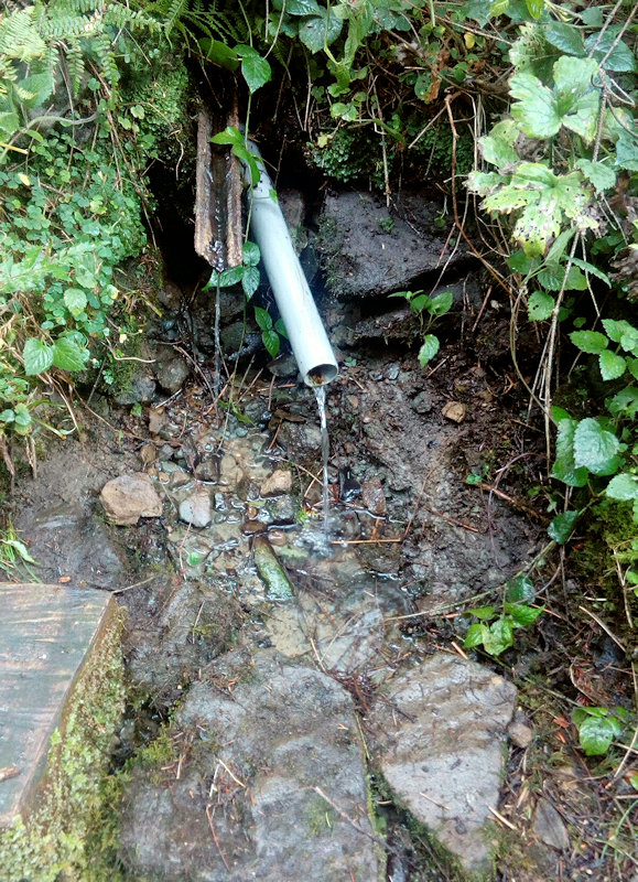 studánka U Szotkowszkých (11621)