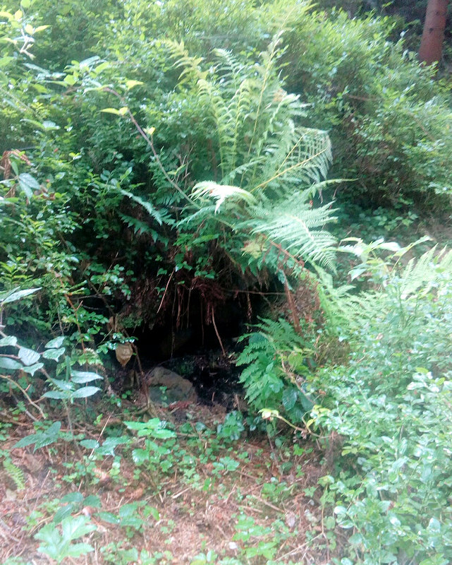 studánka Pamětní (11622)