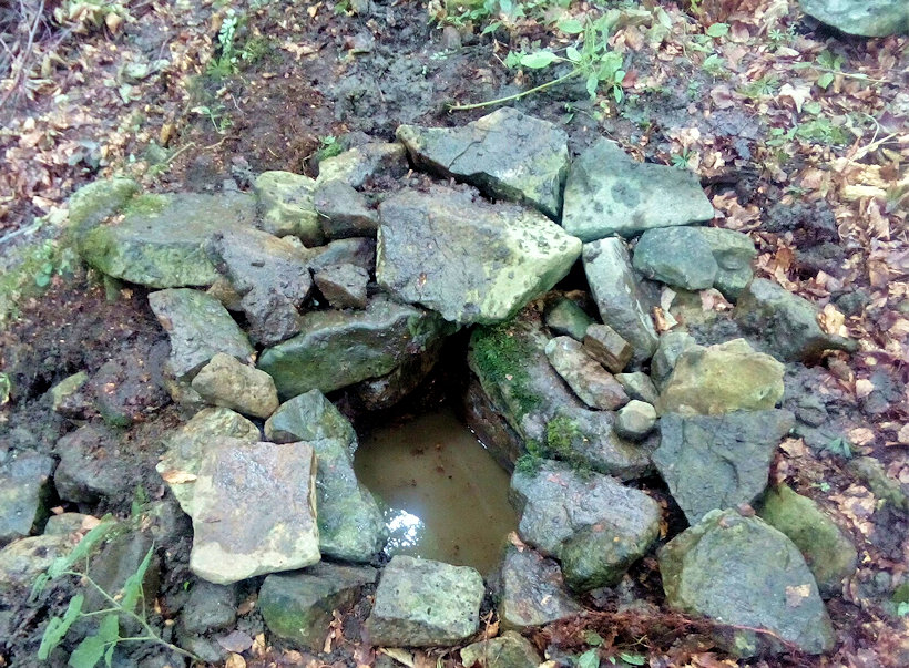 studánka Pod Kozincem (11628)