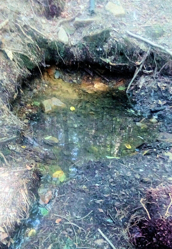 studánka V Zápolí (11641)