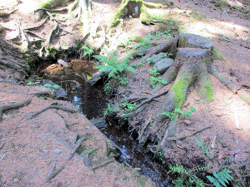studánka Na Zdeňkově (11650)