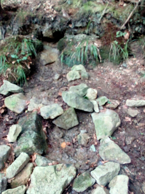 prameniště U bájného rytíře (11664)