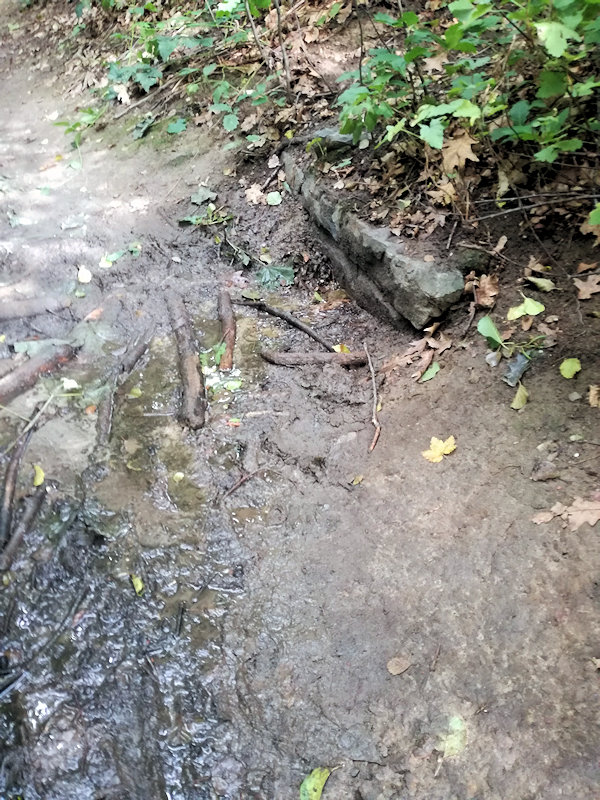 studánka U rybízů (11677)