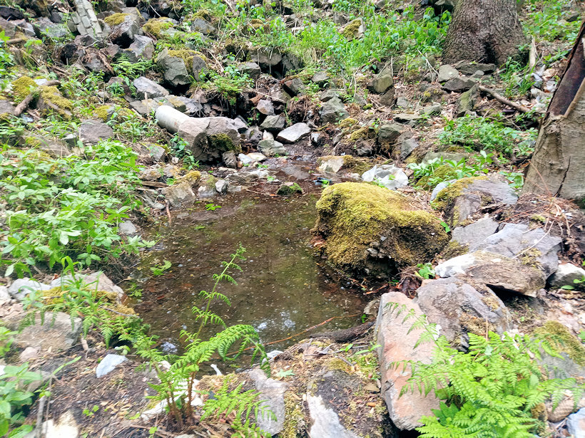 jiný vodní zdroj Duršlovka (11689)