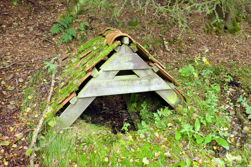 studánka bez jména (11697)