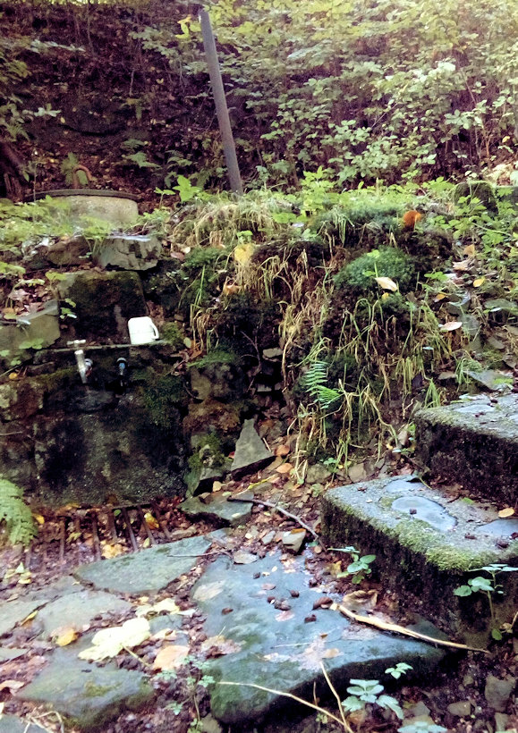 studánka Na Pasekách (11703)