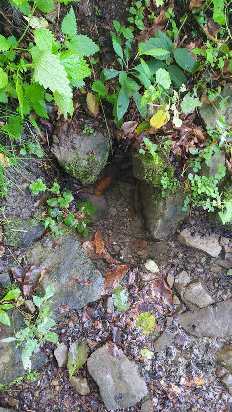 studánka V Liščí (11712)
