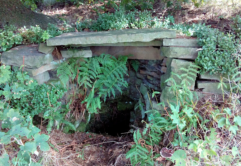 studánka V Tatarkách (11713)