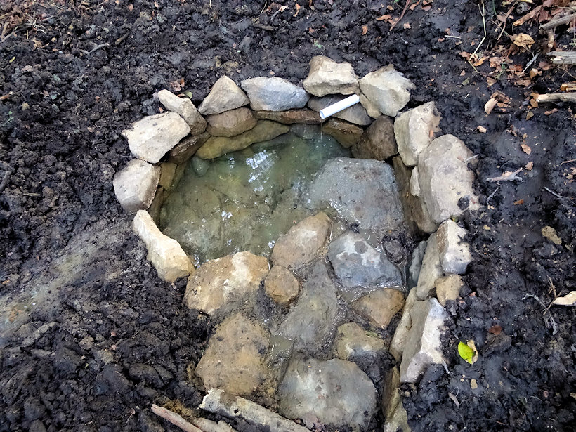 studánka Pod Hrubou planinou (11717)
