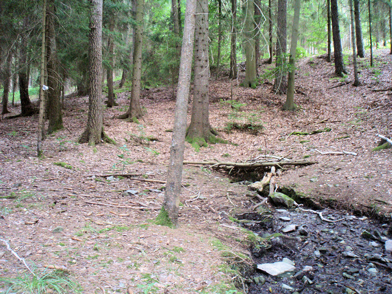 studánka Nad chatou (11719)