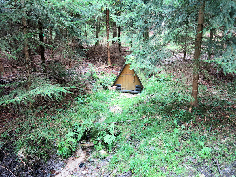 studánka Pod Klenovou (11723)