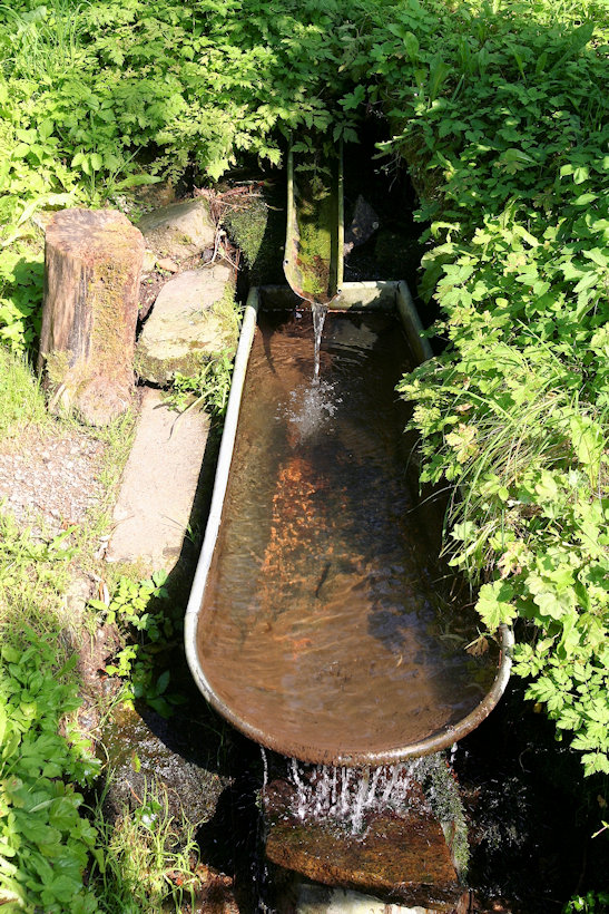 studánka U Kaple (11729)