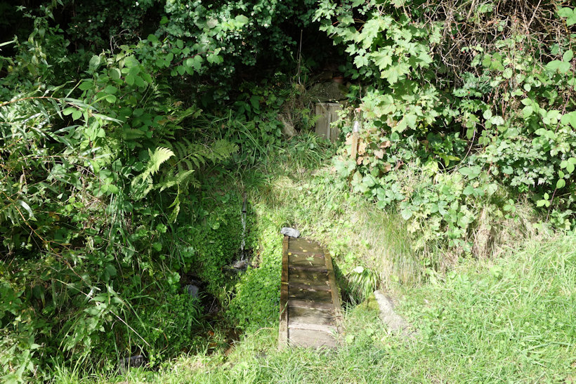 studánka Líska (11736)