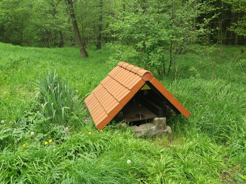 studánka Pod Janovou horou (11738)