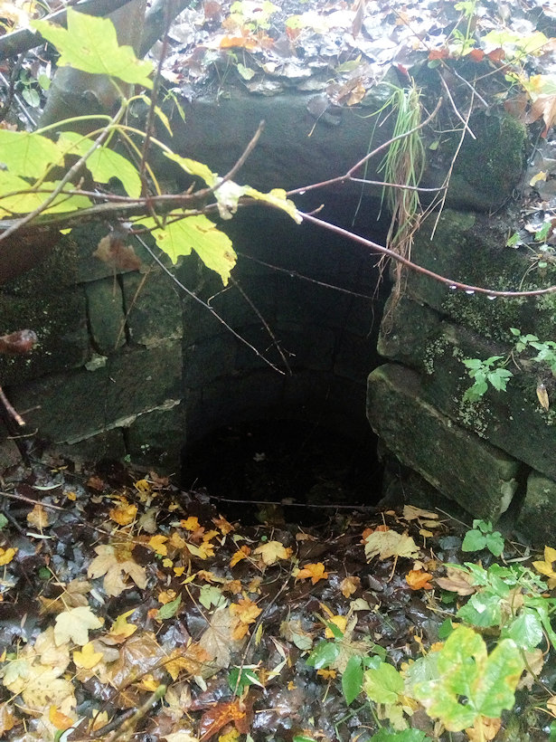 studánka Pod silnicí (11740)