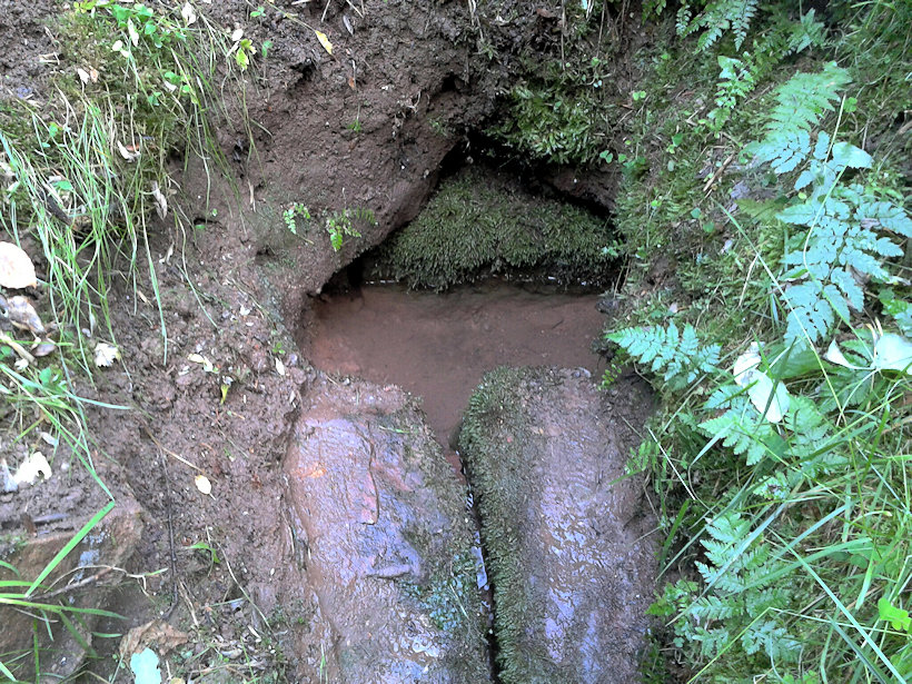 studánka Prdlavka (11759)