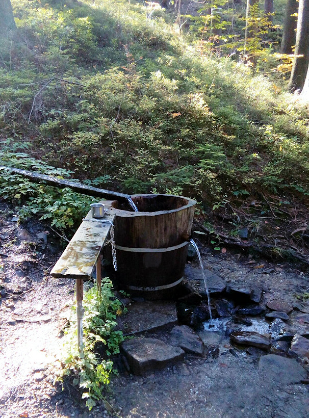 studánka U svaté Hedviky (11767)