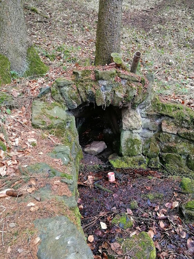 pramen U kružína (11782)