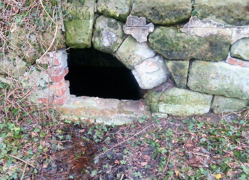 studánka bez jména (11806)