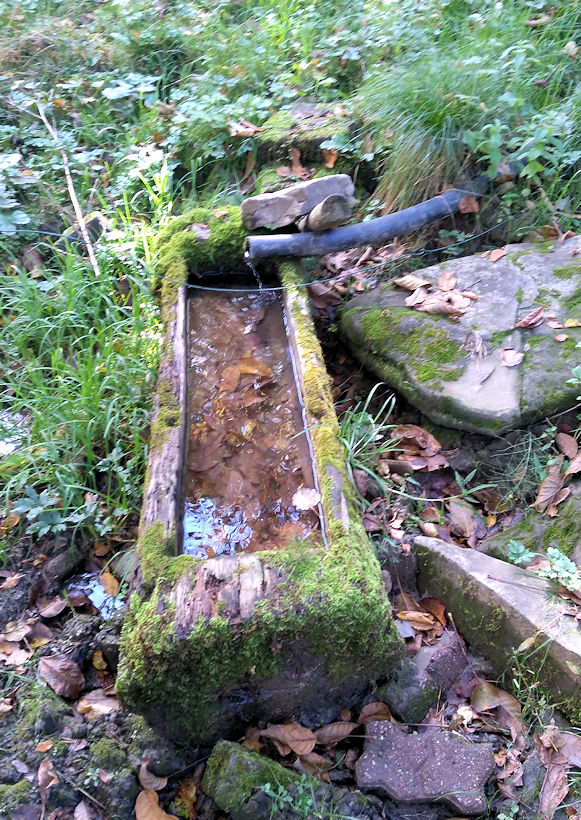 studánka U Jelínka (11808)