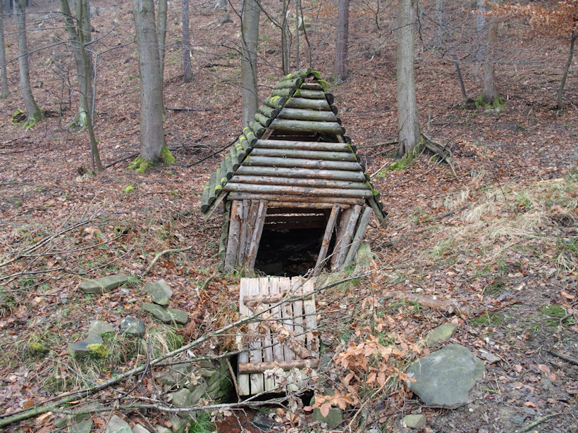 studánka Pod Krásnicí (11809)