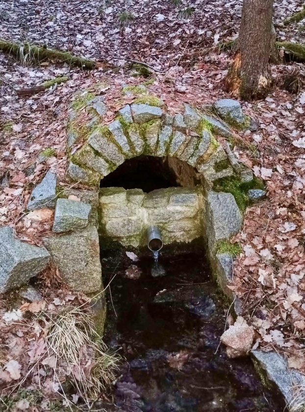 studánka Na Hraběcí cestě (11811)
